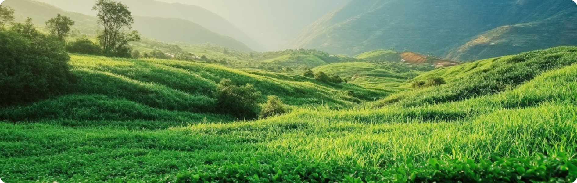 About Us banner image with text overlay